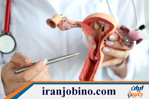 دکتر متخصص زنان و زایمان در اتوبان حکیم تهران