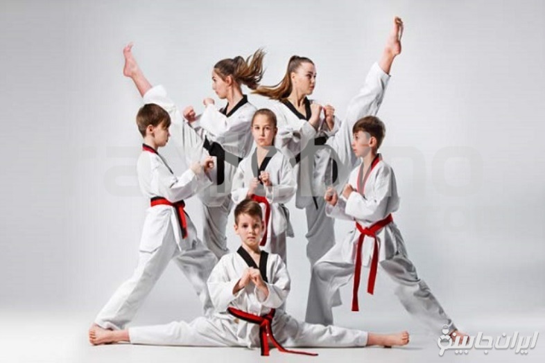 انواع ورزش های رزمی