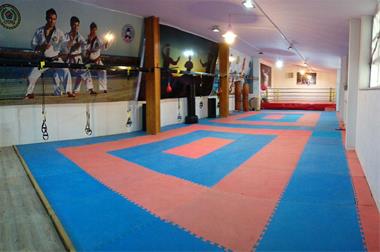 انواع ورزش های رزمی و خصوصیات آنها را بهتر شناسید