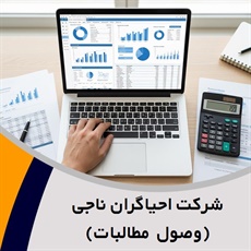 شرکت احیاگران ناجی (وصول مطالبات) گروه حسابداری, حسابرسی, مشاوره مالیاتی و خدمات مالی
