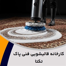 کارخانه قالیشویی فنی پاک تکتا گروه شستشوی فرش های دستباف و ماشینی، سرویس و مرمت