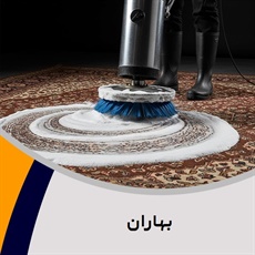 بهاران گروه قالیشویی