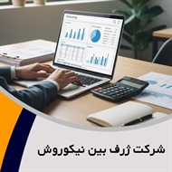 شرکت ژرف بین نیکوروش گروه حسابرسی
