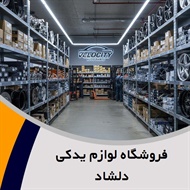 فروشگاه لوازم یدکی دلشاد  گروه لوازم یدکی خودرو