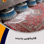 قالیشویی پدیده گروه قالیشویی و مبل شویی