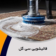 قالیشویی سی گل گروه قالیشویی و مبل شویی