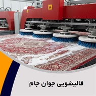 قالیشویی جوان جام گروه قالیشویی