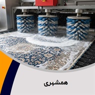 همشهری  گروه قالیشویی