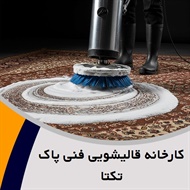 کارخانه قالیشویی فنی پاک تکتا گروه شستشوی فرش های دستباف و ماشینی، سرویس و مرمت