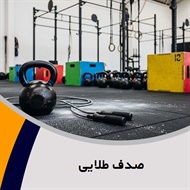 صدف طلایی گروه باشگاه ورزشی - استخر و سونا – بدنسازی