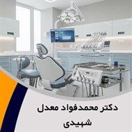 دکتر محمدفواد معدل شهیدی گروه  دندانپزشک
