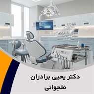 دکتر یحیی برادران نخجوانی گروه دندانپزشک - متخصص کودکان (اطفال)