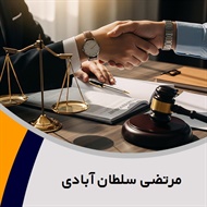 مرتضی سلطان آبادی گروه وکیل و مشاور حقوقی