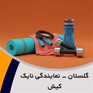 گلستان - نمایندگی نایک کیش گروه فروش لوازم و پوشاک ورزشی