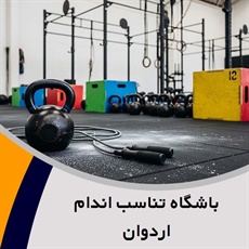 باشگاه تناسب اندام اردوان	 گروه بدنسازی با دستگاه های فری ویت و ایستگاهی و هوازی، اسپینینگ، ایروبیک و TRX