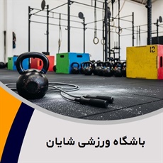 باشگاه ورزشی شایان  گروه باشگاه ورزشی