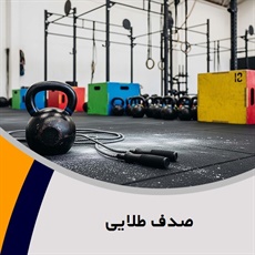 صدف طلایی گروه باشگاه ورزشی - استخر و سونا – بدنسازی