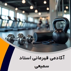 آکادمی قهرمانی استاد سمیعی گروه باشگاه ورزشی 