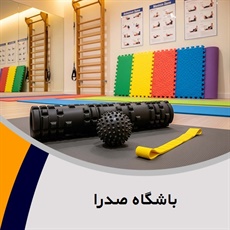 باشگاه صدرا گروه باشگاه بدنسازی و فیتنس