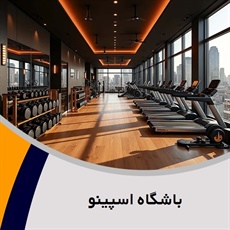 باشگاه اسپینو گروه باشگاه بدنسازی