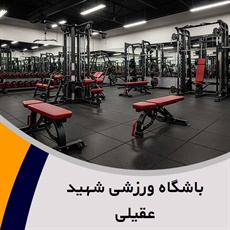 باشگاه ورزشی شهید عقیلی گروه باشگاه ورزشی