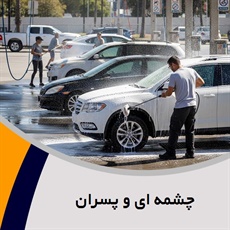 چشمه ای و پسران گروه کارواش