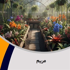 مریم گروه گل فروشی