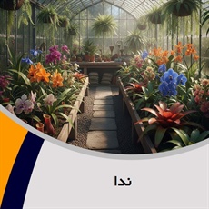 ندا گروه گل فروشی