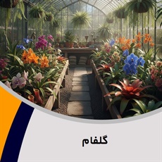 گلفام گروه گل فروشی