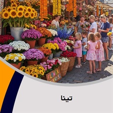 تینا گروه گل فروشی