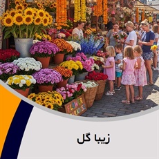 زیبا گل گروه گل فروشی