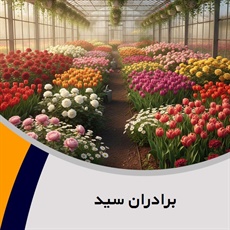 برادران سید گروه گل فروشی