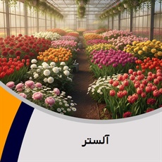 آلستر گروه گل فروشی