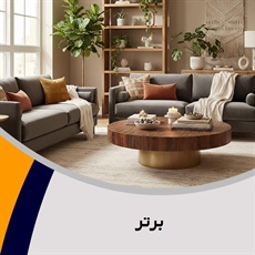 برتر گروه فروش مبلمان و دکوراسیون