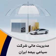 مدیریت مالی شرکت سهامی بیمه ایران گروه بیمه - شرکت ها (کارگزاران)