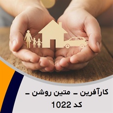 کارآفرین - متین روشن - کد 1022 گروه نمایندگی و مشاورین بیمه