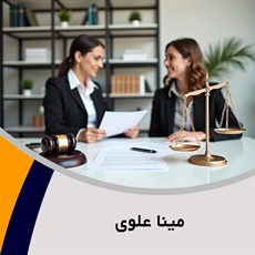 مینا علوی گروه خدمات دعاوی خانواده، طلاق توافقی، طلاق یک جانبه و ...