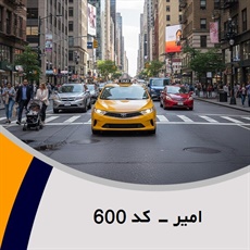 امیر - کد 600 گروه تاکسی سرویس (آژانس کرایه اتومبیل)