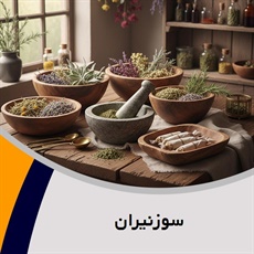 سوزنیران گروه طب سوزنی