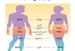 بادی آنالیز