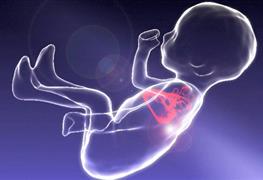 تشخیص و درمان بیماری های مادرزادی قلبی