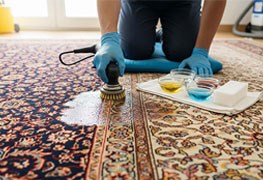 نمایش توضیحات رنگبرداری و لکه برداری انواع فرش